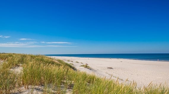 baltic_sea_beach_1140x428.jpg